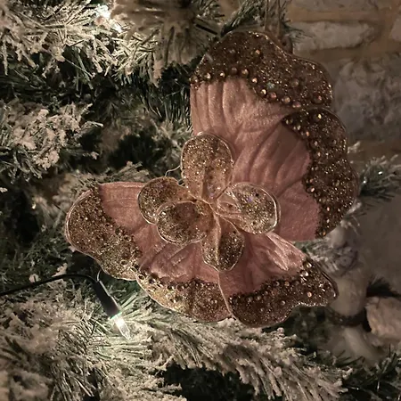 度假居 Les Lavandes De *