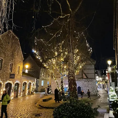 Les Lavandes De 杜柏