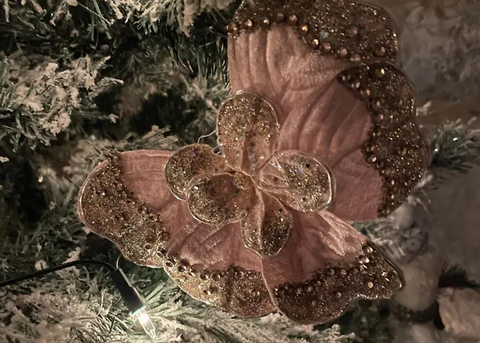 Ferienhaus Les Lavandes De *